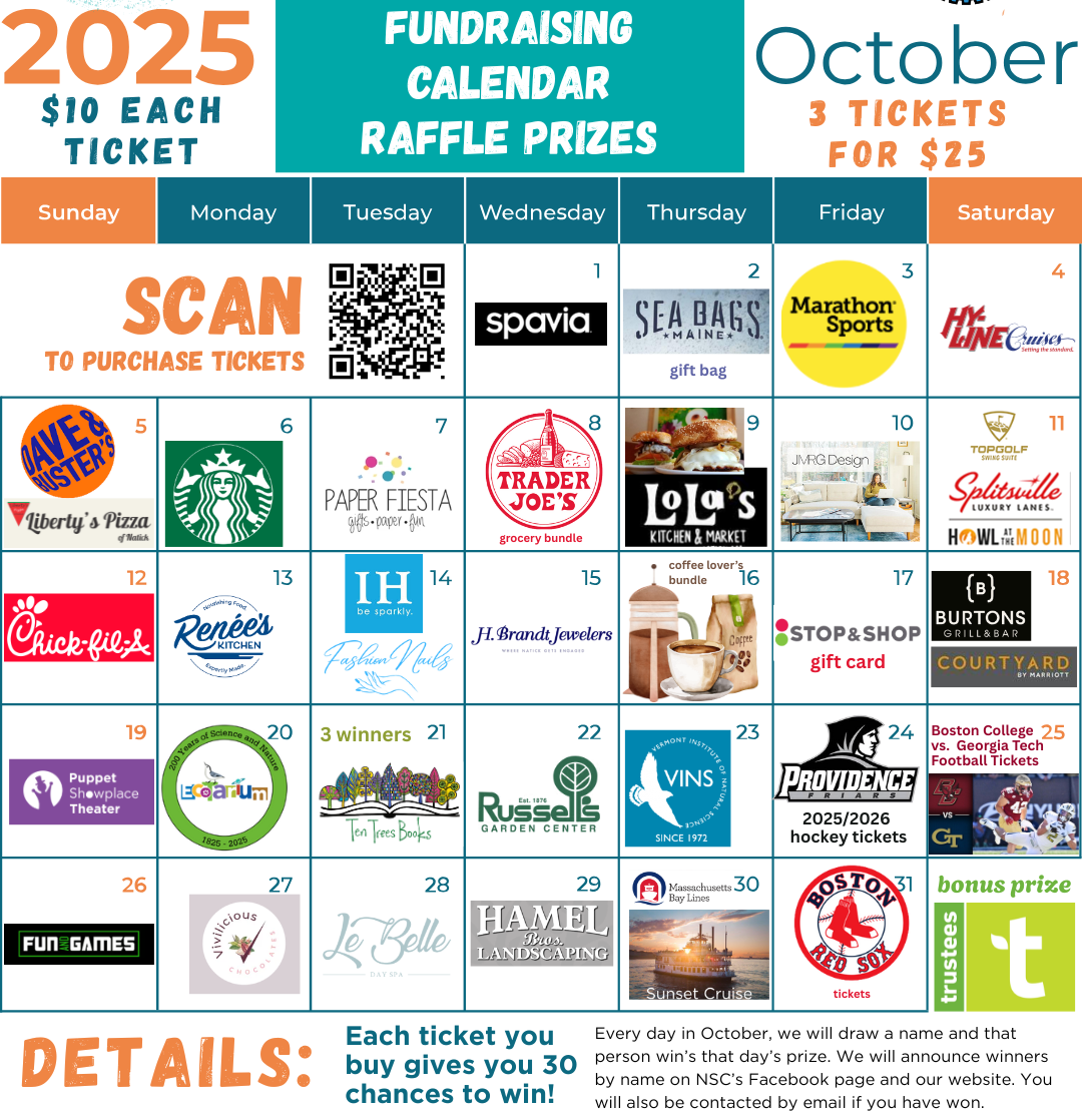 Raffle Calendar (3)